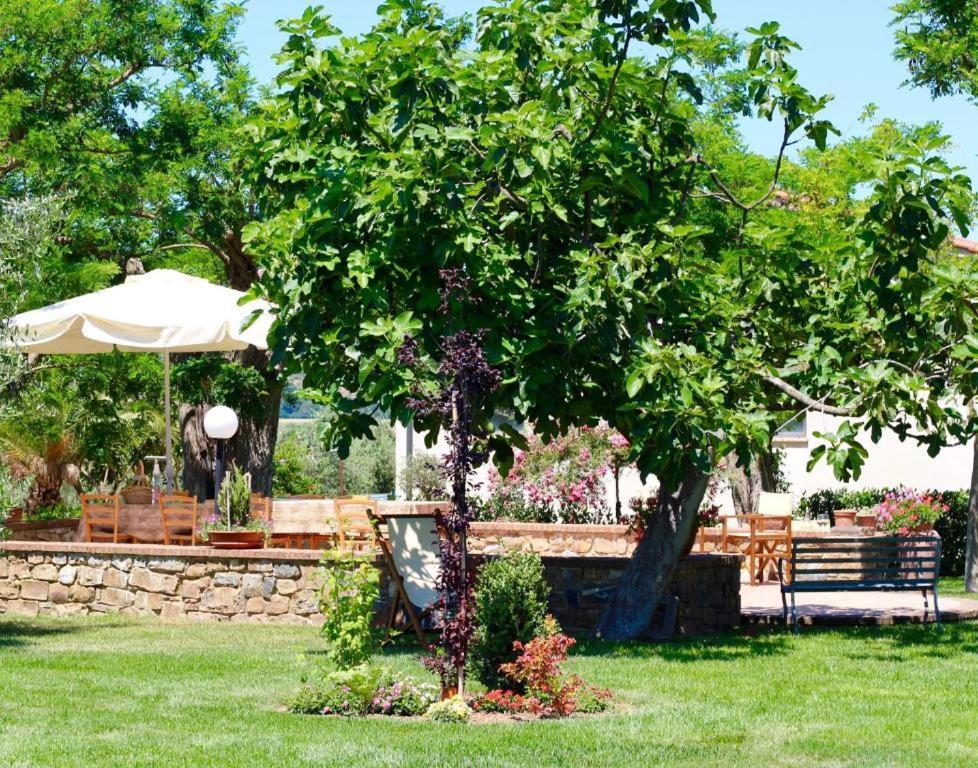Agriturismo Vecchio Imposto Massa Marittima Exteriér fotografie